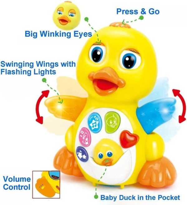 اسباب بازی نوزادی اردک موزیکال هولی تویز مدل 808 Hola Toys Musical Duck _اسباب بازی نوزادی