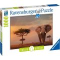 پازل Elefant in Masai Mara Nationalpark اورجینال 15159 برند Ravensburger