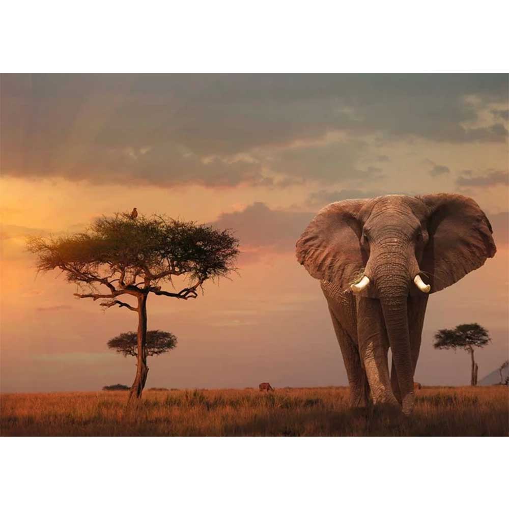پازل Elefant in Masai Mara Nationalpark اورجینال 15159 برند Ravensburger