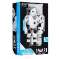 ربات کنترلی پلیس مدل Smart Alpha K1