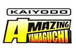kaiyodo amazing yamaguchi