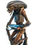 اکشن فیگور سگ بیگانه | Dog alien | سری فیلم بیگانه 3 برند نکا