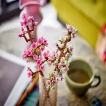 لگو سری Cherry Blossoms کد 40725