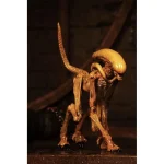 پک موجودات الین سری Alien 3: Accessory Pack برند Neca