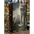 اکشن فیگور کت وومن سلینا کایل Catwoman ( ان هاتاوی – سه گانه دارک نایت ) برند Hot Toys