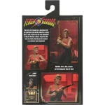 اکشن فیگور فلش گوردون Flash Gordon - Final Battle مدل لیمیتد برند NEca