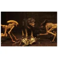 پک موجودات الین سری Alien 3: Accessory Pack برند Neca