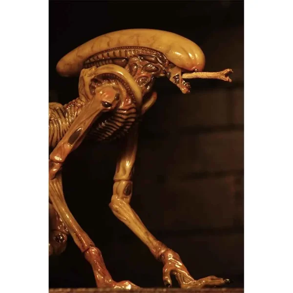 پک موجودات الین سری Alien 3: Accessory Pack برند Neca