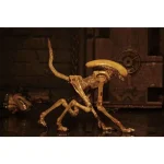 پک موجودات الین سری Alien 3: Accessory Pack برند Neca