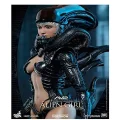 فیگور شاهکار الین پردیتور AVP Alien Girl برند Hot Toys مقیاس 1/6 - Image 6