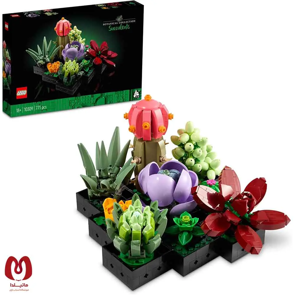 لگو اورجینال گیاه ساکولنت Botanicals Succulents کد 10309