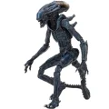 اکشن فیگور الین Alien Arachnoid برند نکا