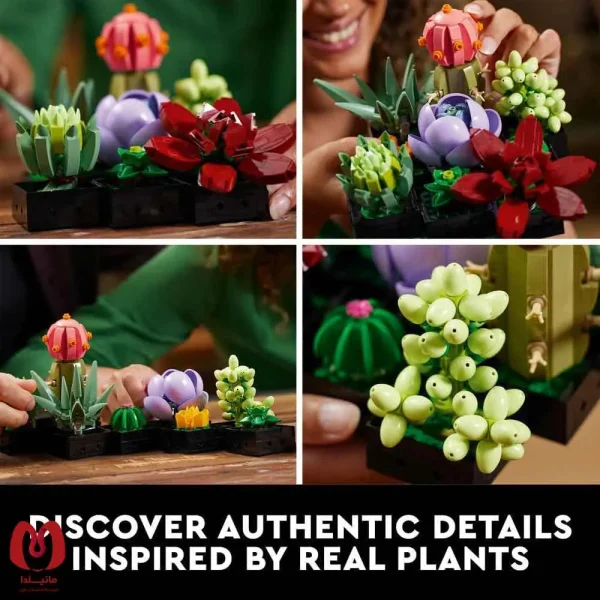 لگو اورجینال گیاه ساکولنت Botanicals Succulents کد 10309