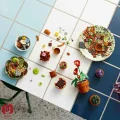 لگو اورجینال ست گیاهان ریز Botanicals Tiny Plants Set کد 10329