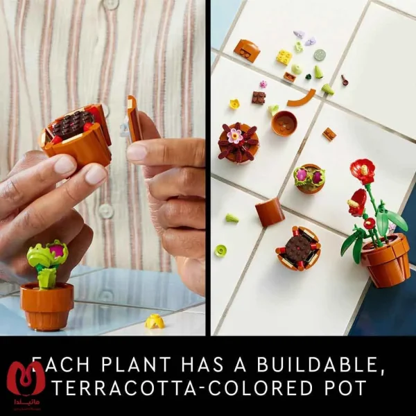 لگو اورجینال ست گیاهان ریز Botanicals Tiny Plants Set کد 10329
