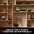 لگو اورجینال گیاه ساکولنت Botanicals Succulents کد 10309