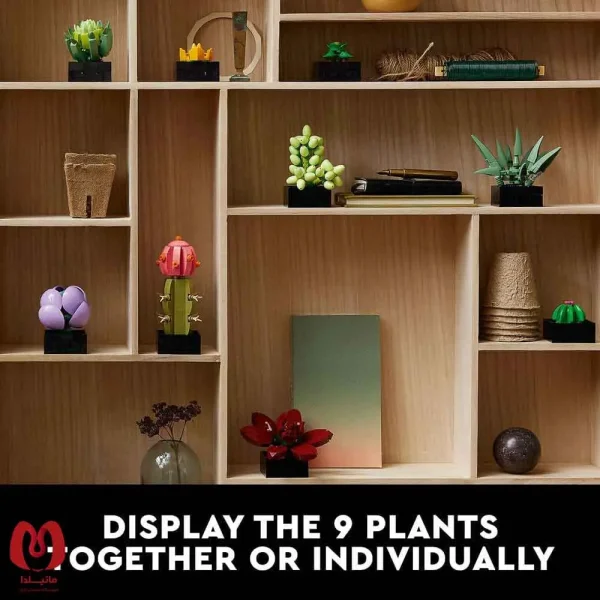 لگو اورجینال گیاه ساکولنت Botanicals Succulents کد 10309