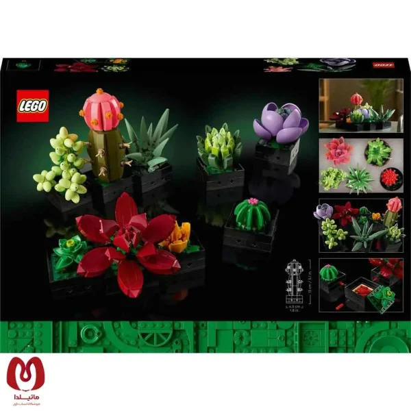 لگو اورجینال گیاه ساکولنت Botanicals Succulents کد 10309