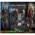 اکشن فیگور شاهکار از پردیتور فرال Prey (2022) – Feral Predatror برند هات تویز 1/6