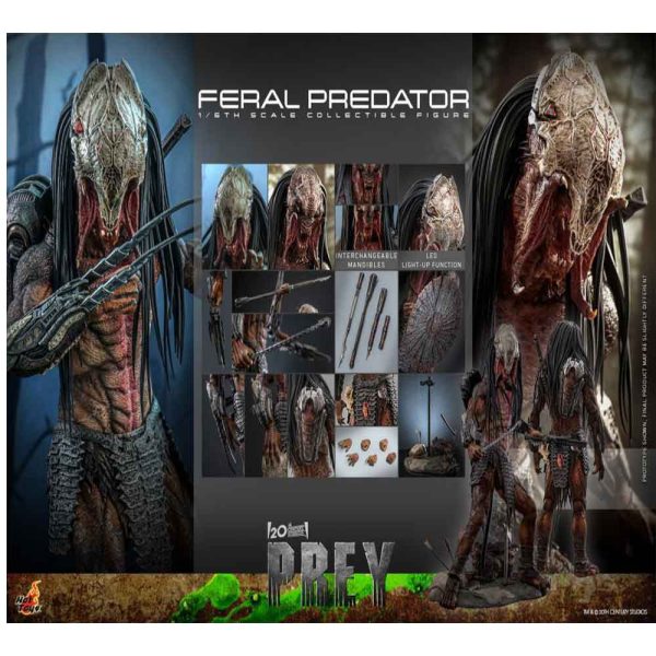 اکشن فیگور شاهکار از پردیتور فرال Prey (2022) – Feral Predatror برند هات تویز 1/6