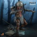 اکشن فیگور شاهکار از پردیتور فرال Prey (2022) – Feral Predatror برند هات تویز 1/6