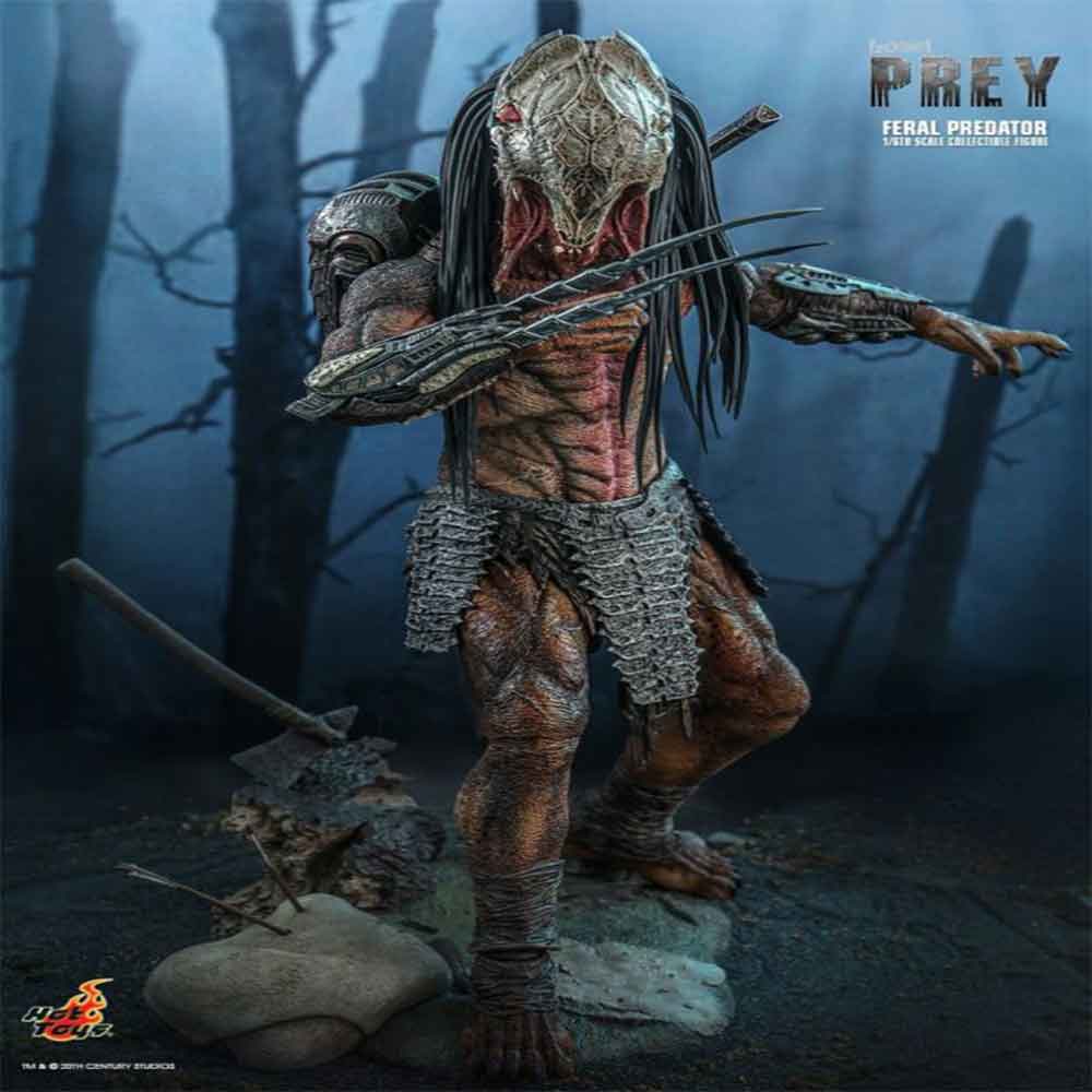 اکشن فیگور شاهکار از پردیتور فرال Prey (2022) – Feral Predatror برند هات تویز 1/6