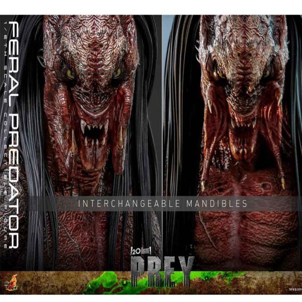 اکشن فیگور شاهکار از پردیتور فرال Prey (2022) – Feral Predatror برند هات تویز 1/6