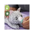 عروسک پیشی رباتیک FurReal Newborns