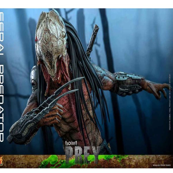 اکشن فیگور شاهکار از پردیتور فرال Prey (2022) – Feral Predatror برند هات تویز 1/6