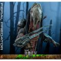 اکشن فیگور شاهکار از پردیتور فرال Prey (2022) – Feral Predatror برند هات تویز 1/6
