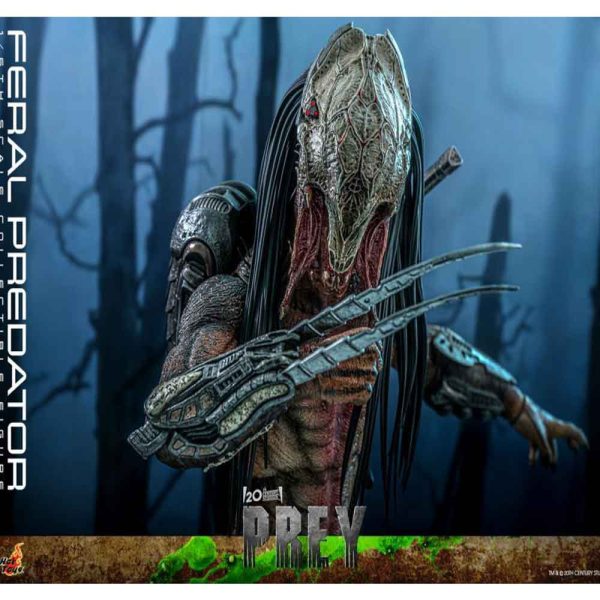 اکشن فیگور شاهکار از پردیتور فرال Prey (2022) – Feral Predatror برند هات تویز 1/6