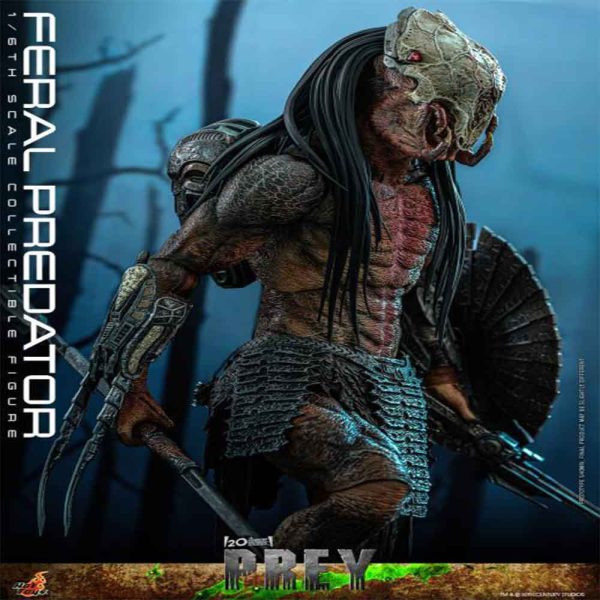 اکشن فیگور شاهکار از پردیتور فرال Prey (2022) – Feral Predatror برند هات تویز 1/6