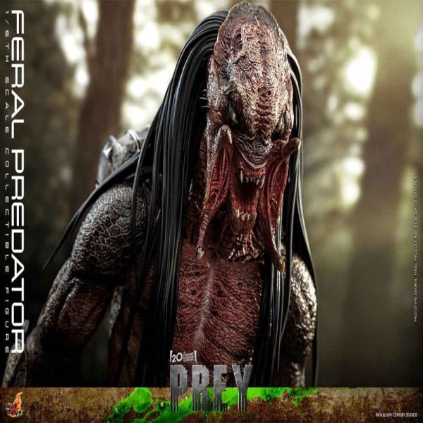 اکشن فیگور شاهکار از پردیتور فرال Prey (2022) – Feral Predatror برند هات تویز 1/6