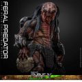 اکشن فیگور شاهکار از پردیتور فرال Prey (2022) – Feral Predatror برند هات تویز 1/6