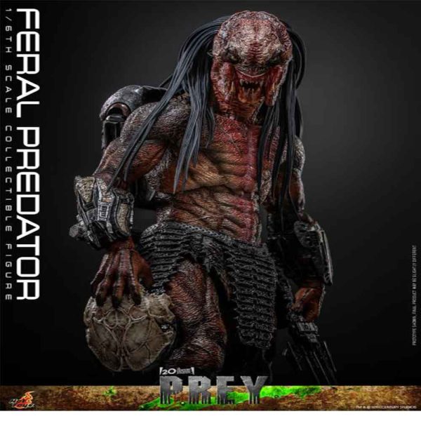 اکشن فیگور شاهکار از پردیتور فرال Prey (2022) – Feral Predatror برند هات تویز 1/6