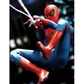 اكشن فيگور اسپايدرمن ( اسپايدرمن شگفت انگيز ) The Amazing Spider-Man Movie Masterpiece برند هات تویز