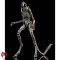 اکشن فیگور الین بیگانه Dog Alien برند نکا