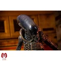 اکشن فیگور الین بیگانه Dog Alien برند نکا